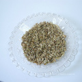 Сырые семена черного / зеленого фенхеля китай поставщик экспортные семена фенхеля